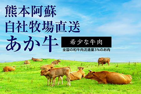 【餃子】 熊本和牛 あか牛 ぎょうざ セット ＜熊本あか牛餃子20個入り×2箱＞ 046-0632