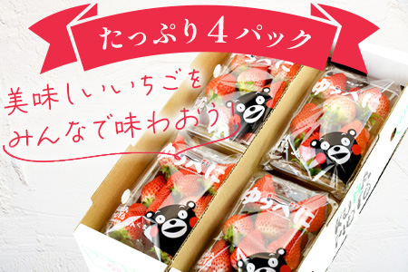 【2024年1月下旬発送開始】球磨産 イチゴ 250g×4パック 先行予約 苺 いちご 【 フルーツ 果物 春 名産 熊本 多良木町 ビタミン 旬 先行予約 くだもの 】004-0038
