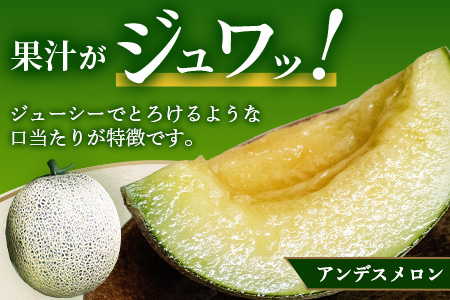 【2026年5月上旬～発送・先行予約】熊本県産 アンデスメロン 4~5玉 約5kg メロン フルーツ 果物 083-0696 4~5玉 約5kg