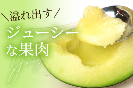 【2025年5月上旬以降発送分 先行予約】熊本県産 アンデスメロン 2玉 計約3kg  特大 果物 フルーツ 旬 ネット メロン 熊本県 多良木町 農家直送