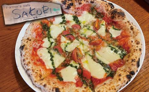 【Pizza】 本格 石窯焼き 冷凍 Pizza 5枚 ＆ ジェノベーゼ ソース 約21cm ピザ 【 本格 石窯焼き 冷凍 ピザ ピッツァ ジェノベーゼ ソース パン 】059-0282