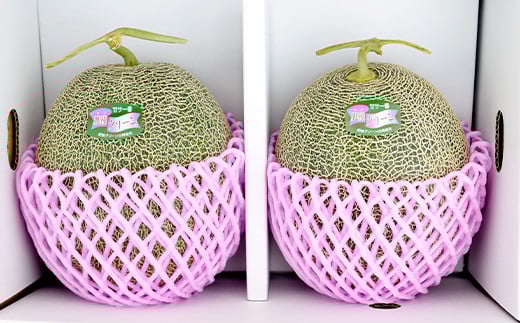 【2026年5月下旬～順次発送】【大玉】熊本県産 肥後 グリーンメロン 大玉 ≪2玉／合計4kg以上≫ 先行 予約 令和8年 メロン 果物 フルーツ 旬 甘い デザート くだもの 大玉 4kg 熊本 多良木 産地直送  008-0662