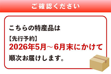 【2026年5月上旬〜順次発送 先行予約】小玉スイカ ひとりじめ (2玉) 令和8年 夏 スイカ 食べきりサイズ 西瓜 フルーツ 果物 旬の味覚 すいか 甘い 産地直送 008-0663