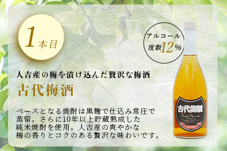【最短翌々日〜5営業日以内発送】たらぎの 梅酒 セット 720ml × 2本 ≪古代梅酒≫≪ 梅酒文蔵≫ 球磨焼酎 多良木町 米 焼酎 梅 うめ酒 お酒 球磨 贈り物 ギフト 熊本県 多良木町 015-0689