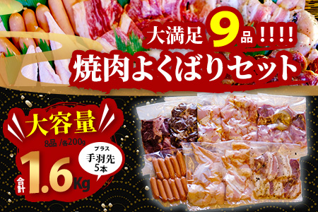 【数量限定】 村上精肉店の 焼肉 よくばりセット 【 9品 味付き 焼くだけ 】 牛カルビ ハラミ 豚バラ タン トントロ 鶏せせり 鶏もも 手羽先 ウインナー 焼き肉 BBQ アウトドア キャンプ 021-0667