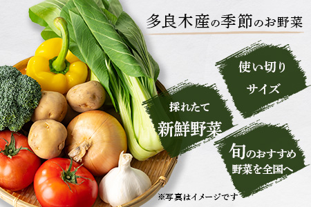 熊本の大地の恵み 旬の こだわり野菜詰め合わせセット 8〜12品 （3〜4名様向け）野菜 獲れたて 新鮮 野菜 セット 詰め合わせ 詰合せ 産地 直送 国産 季節 野菜 家族 ファミリー 多良木町 024-0809