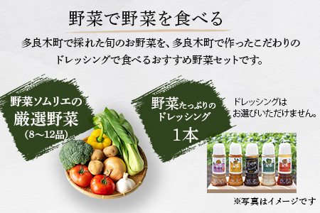 【定期便3回】熊本の大地の恵み≪ 野菜で野菜を食べる ≫ 旬のこだわり 野菜 ＆ドレッシング セット (3?4名様向け) 野菜 獲れたて 8～12品 直送 旬 新鮮 定期便 野菜ドレッシング 詰め合わせ 詰合せ 熊本県 多良木町 024-0814