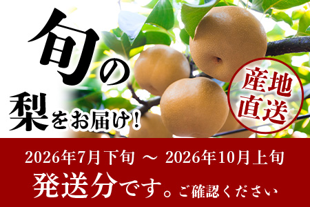 先行予約【2026年7月下旬～発送分】東光寺 梨 2.5kg (5～7玉)  完熟 なし フルーツ 果物 夏 旬 幸水 豊水 秋月 新高 新興 025-0573
