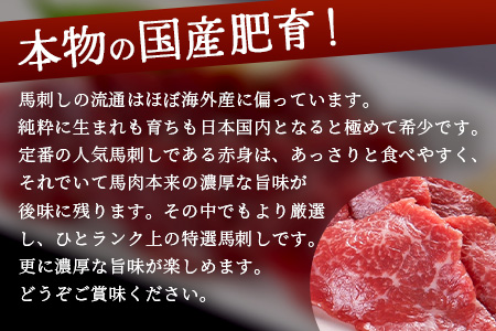【 国産 】阿蘇肥育 特選 馬刺し 300g 熊本県 阿蘇 肥育 希少 国内産 厳選 赤身 馬刺し 冷凍 馬肉 定番 熊本特産 多良木町 ばさし 肉 030-0715