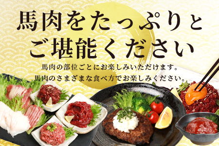【年末発送】【馬刺し】 熊本 馬肉 バラエティー 6種 セット 約1.02kg ＜ 赤身 切り落とし コウネ ネギトロ ユッケ フタエゴ ハンバーグ タレ付き ＞ 熊本 国産 赤身 馬刺し 馬肉 ハンバーグ 小分け 年内発送 年内配送 年末年始