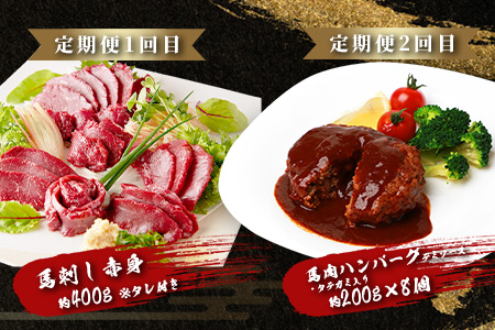 【定期便6回】馬肉づくし 「 馬刺し・お惣菜 定期便 」6回配送 本場 熊本県 馬さし 定期便 千興ファーム SQF 認証 安心安全 馬肉 ユッケ ハンバーグ カレー 新鮮 冷凍 ミシュラン 生食用 肉 菅乃屋 熊本