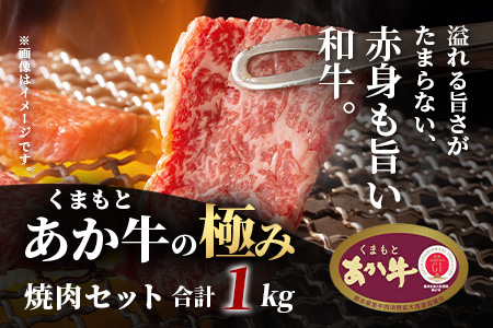【エシカル和牛】あか牛の極み  焼肉セット (モモ・カルビ・煮込用) 【1kg】 バラ カルビ モモ 焼き肉 焼きしゃぶ 煮込み 熊本 あか牛 牛肉 赤身 和牛 国産 033-0504