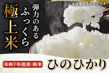 令和7年度産 球磨産 ひのひかり 10kg  新米 お米 精米 米 白米 ひのひかり ヒノヒカリ  036-0505
