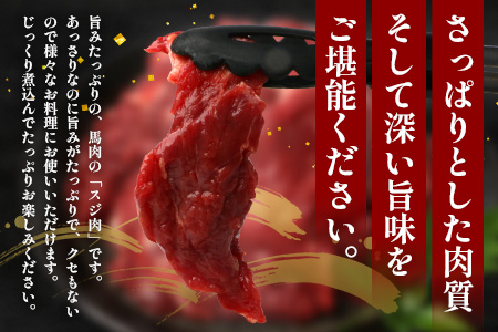 【 定期便 3回 】 熊本県 馬スジ 1㎏（ 500g×2 ） × 3回 【 合計 3kg 】 【 馬肉 すじ肉 大容量 本場 熊本県 馬 赤身 煮込み カレー シチュー 冷凍 真空 熊本 肥育 ヘルシー 赤身 肉 高栄養 肉 】 041-0158