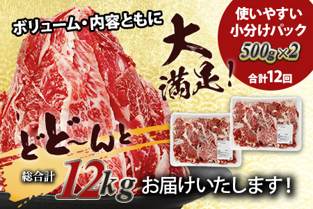 【定期便12回】熊本あか牛 切り落とし 1kg (500g×2)×12回 【 合計 12Kg 】 国産 牛肉 冷凍 熊本 熊本県産 あか牛 赤牛 切り落とし 041-0164