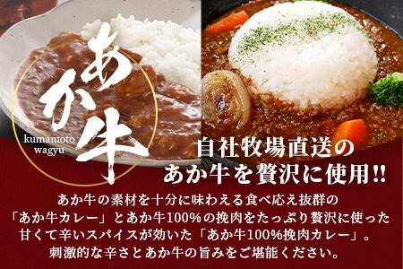 熊本産【あか牛】カレー 2種セット ≪あか牛カレー180g×2・あか牛100％挽肉カレー220g×2≫ ヘルシー あか牛 スパイシー カレー 牛肉 ひき肉 カレー 辛 国産 和牛