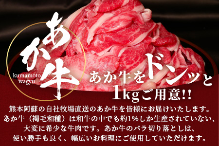  【年内お届け】あか牛 切り落とし 1kg （500g×2）※12/18-28発送※ 熊本県産 あか牛 牛肉 バラ 大容量 肉 熊本産 国産牛 和牛 赤身 ヘルシー