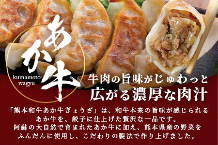 熊本和牛 あか牛 ぎょうざ セット ≪ 熊本あか牛餃子20個入り×3箱 合計60個 ≫ 熊本県 和牛 あか牛 冷凍 生餃子 ぎょうざ おかず 総菜 お弁当