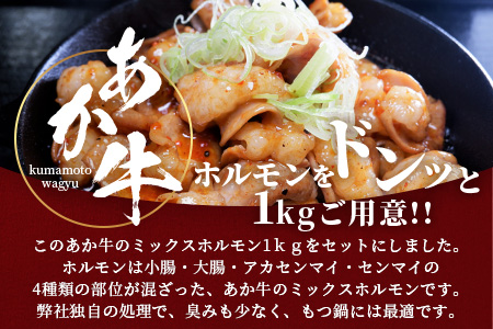 熊本県産 あか牛 ミックス ホルモン 1kg（500g×2パック） もつ鍋 焼肉 ホルモン 焼き BBQ 熊本県 あか牛 牛肉 046-0644