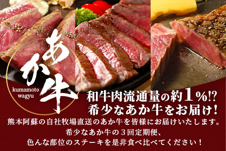 【定期便 6回】あか牛 ステーキ 食べ比べ！ 6回配送 ステーキ 定期便 熊本県産 ≪ サーロイン ミスジ ランプ 三角バラ ヒレ リブ ロース ≫ ステーキ 和牛 あか牛 牛肉 赤身 肉 定期 和牛 国産 ご褒美 定期便 6カ月 046-0676