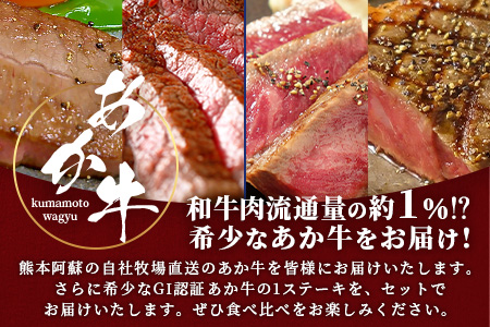 【GI認証】くまもとあか牛 希少部位＆人気部位の＼極上／ステーキ 食べ比べ 計1.34kg ～ ランプ サーロインリブロース ミスジ ～ 希少 あか牛 ステーキ 赤身 牛肉 肉 国産 和牛 046-0683