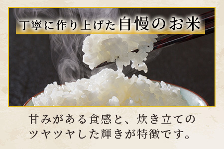 人吉球磨のお米「ひのひかり」無洗米5kg  精米 お米 ご飯 熊本県 ヒノヒカリ お米 精米 こめ コメ 国産 ブランド米 053-0509
