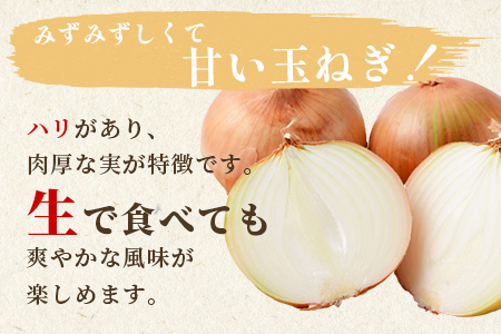 【先行予約】熊本県産 玉ねぎ 10kg (33玉前後) ≪2026年4月下旬から順次発送≫ 玉葱 野菜 数量限定 JAS たまねぎ オニオン 甘い ハンバーグ 肉じゃが 065-0637
