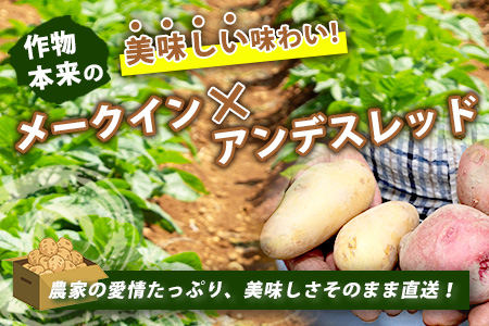 大森さんの じゃがいも 食べ比べセット 約5kg メークイン ／アンデス 熊本県 多良木町産 ジャガイモ じゃが芋 野菜 ポテト 数量限定 065-0701