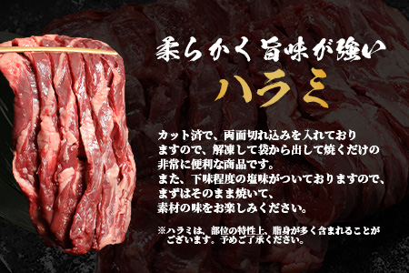 ※12月寄附限定 タン先炭火焼付※人気セット！ 厚切り 牛 ハラミ ステーキ＆ 厚切り 牛タン 【合計 1㎏ 】 焼肉 バーベキュー キャンプ アウトドア 牛たん ハラミ 焼き肉 カット済み 塩味 牛肉 肉 冷凍 パック 067-0672