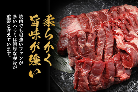 ※12月寄附限定 タン先炭火焼付※厚切り 牛 ハラミ ステーキ 500g 焼肉 軟化加工 塩味 牛肉 BBQ 冷凍 小分け おまけ 067-0678