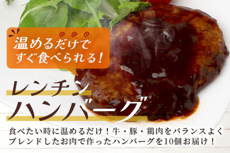 温めるだけ！ レンチン ハンバーグ ≪ ブラウンシチュー ソース ≫ 10個 ※2025年2月以降発送分※ ハンバーグ 湯煎 レンジ 簡単 大容量 レトルト ハンバーグ 温めるだけ 簡単 冷凍 レンジ 湯せん 個包装 067-0704