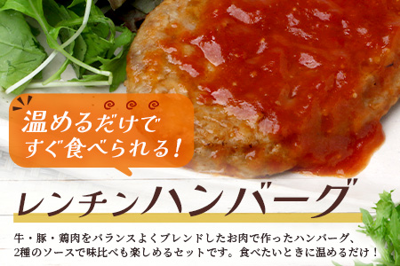 温めるだけ！ レンチン バーグ ≪トマトソース・ブラウンシチューソース≫ 合計10個 ハンバーグ 湯煎 レンジ 簡単 大容量 レトルト ハンバーグ トマト デミグラス 2種 セット スパイス 簡単 冷凍 レンジ 湯せん 個包装 067-0708 トマト・ブラウンソースセット計10個