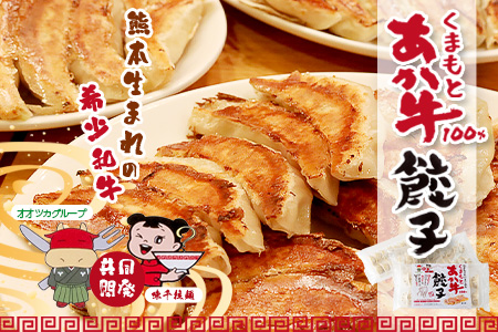 年内発送【餃子】 くまもとあか牛 100％ 餃子 計 60個（20個×3パック） 冷凍 熊本県産 あか牛 ぎょうざ 餃子 大容量 和牛 牛肉 お手軽 簡単 年内発送 年末 年始 073-0403