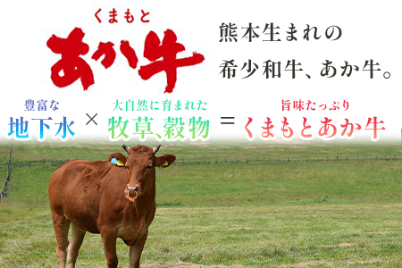 【年末発送】くまもとあか牛 切り落とし 約800g ＜約400g×2p＞ 冷凍 牛肉 和牛 国産牛 073-0408-R712