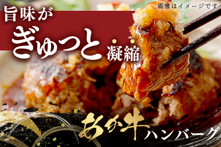 【お歳暮ギフト】GI認証 くまもと あか牛 ハンバーグ《贈答用》150g×10個 あか牛100％ 赤身 冷凍 熊本県産 ハンバーグ 化粧箱入り ギフト 贈り物 御歳暮 和牛 牛肉 オオツカ 073-0410