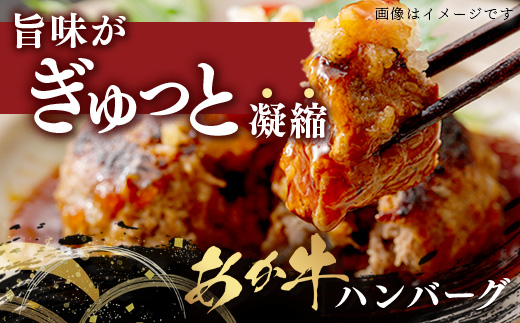 【GI認証】くまもとあか牛ハンバーグ 150g×6個 《ご家庭用》 あか牛 100％ ハンバーグ 赤身 冷凍 熊本県産 あかうし はんばーぐ 惣菜 おかず 和牛 牛肉 オオツカ 073-0413