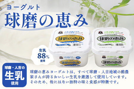 球磨酪農“おいしい定番”セット (瓶 牛乳 & ヨーグルト加糖・砂糖不使用) 牛乳 生乳 ヨーグルト  074-0463