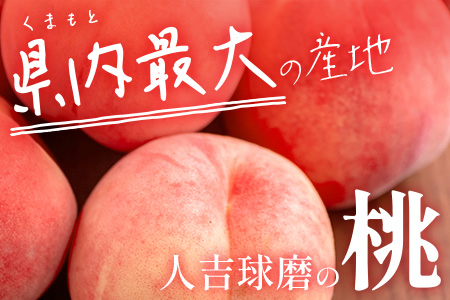 【先行予約】 桃 (5～8玉) 約 2kg 「厳選した桃をお届けします！」 2026年6月下旬～順次発送 087-0656