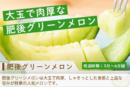 【フルーツ 定期便 3回】2026年発送分 メロン・桃・梨 旬 3回配送 数量限定 肥後グリーンメロン 球磨の桃 豊永の梨 フルーツ 果物 名産 熊本 多良木町