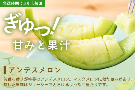 【フルーツ3回定期便B】2026年発送分 アンデスメロン・桃・梨 3回配送 旬 フルーツ 定期便 数量限定 メロン 球磨の桃 豊永の梨 果物 名産 熊本 多良木町