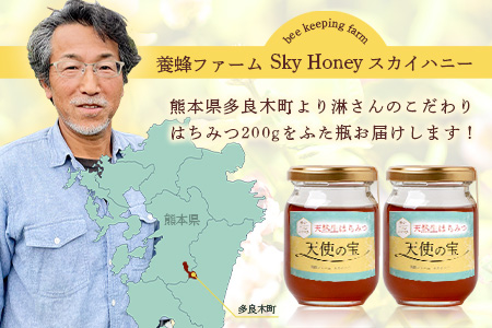 【垂れ蜜】日本みつばち 蜂蜜「天使の宝」2個 セット 希少 ニホンミツバチ 100％ はちみつ 高純度 高濃度 自然落下 無添加 ハチミツ 蜂蜜 ハニー ハチミツ