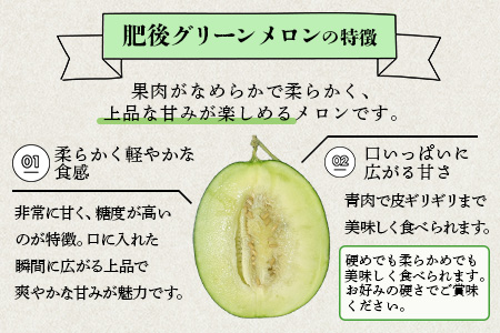 【2026年6月上旬順次発送 先行予約】大玉 肥後グリーンメロン 2玉 約4.6kg以上 熊本県産【 果物 フルーツ グリーンメロン 先行予約 4.6kg 青肉 期間限定 数量限定 熊本県 多良木町 】