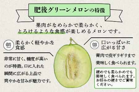 【2026年6月上旬から順次発送 先行予約】 特大 肥後グリーンメロン 2玉 約5.4kg以上 【 果物 フルーツ グリーンメロン 先行予約 5.4kg 青肉 期間限定 数量限定 熊本県 多良木町 】 101-0002
