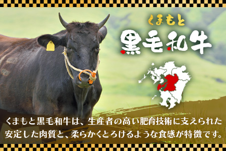 くまもと 黒毛和牛 しゃぶしゃぶ セット 合計300g ( お肉ソムリエ 開発 橙ポン酢 付 ) ソムリエ セレクト 肩 ロース 焼き肉 やき肉 ポン酢 付 本場 熊本県 ブランド 牛 肉 くまもと 104-0008