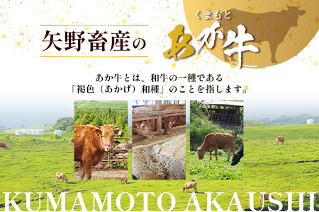 くまもとあか牛 カルビ 焼肉用 計500g 熊本県 ブランド牛 肉 ヘルシー 赤身 牛肉 焼き肉 やきにく やき肉 ブランド牛 肉 国産 ヘルシー 赤身 ジューシー カルビ 旨味 105-0502