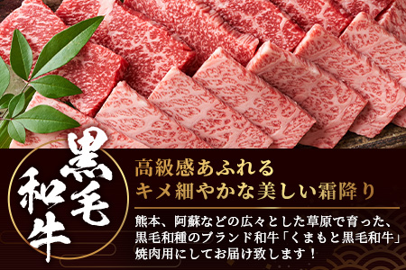 【 A4～ A5 等級 】くまもと黒毛和牛 焼肉用 500ｇ