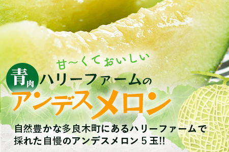 【2026年5月上旬～発送】アンデス メロン 青肉 5玉 (合計 約4.5～5kg) 熊本県 多良木町産 果物 フルーツ メロン 先行予約 5個 青肉 ミツバチ交配 期間限定 数量限定 先行予約 109-0501
