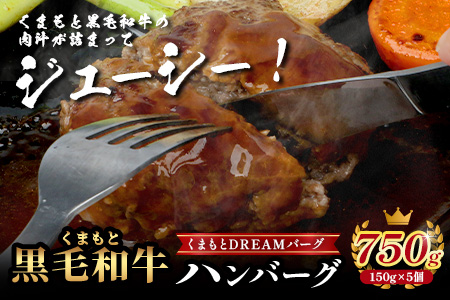 《12月終了》くまもと黒毛和牛 DREAMバーグ 150g×5 計750g 牛肉 100％ 生 ハンバーグ 熊本 ブランド牛 黒毛 和牛 はんばーぐ 熊本県 113-0508
