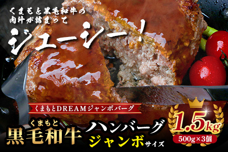 《12月終了》ビッグサイズ！くまもと 黒毛和牛 DREAMジャンボバーグ 500g×3パック 計1.5g 《 牛肉 100％ 国産 大きな ボリューム ハンバーグ お祝い パーティ 熊本 ブランド牛 黒毛 和牛 上質 はんばーぐ 惣菜 熊本県 》 113-0509
