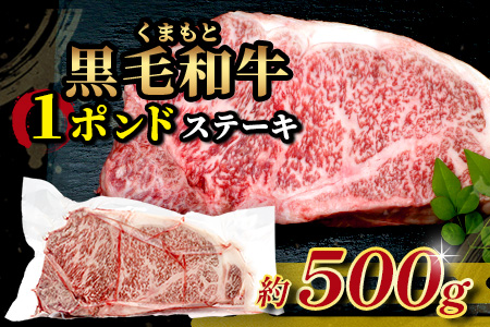 【年内発送】くまもと黒毛和牛 1ポンド ステーキ 約500g《 黒毛 和牛 1 pound ステーキ 500g ブランド牛 上質 常備 冷凍 熊本県 》113-0512-R712